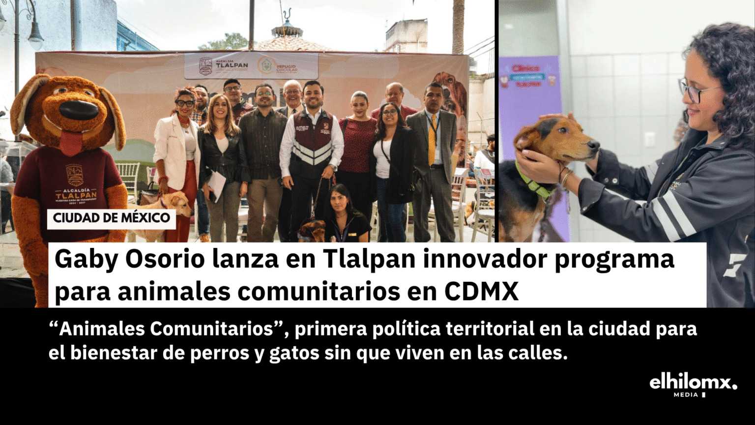 Gaby Osorio lanza en Tlalpan innovador programa para animales comunitarios en CDMX Animales comunitarios tlalpan