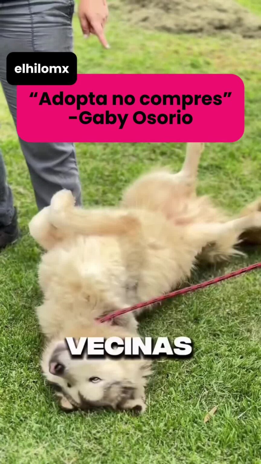 @elhilomx Gaby Osorio Alcaldesa de Tlalpan invita a que todas.image .jpeg