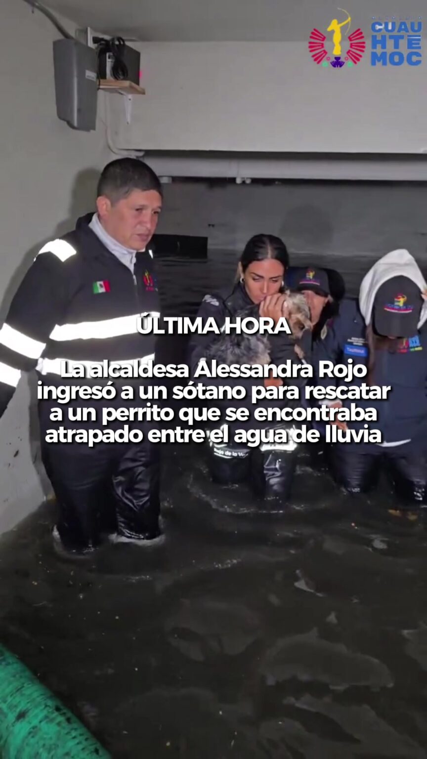 @elhilomx Luego de que este domingo cayo una gran cantidad.image .jpeg