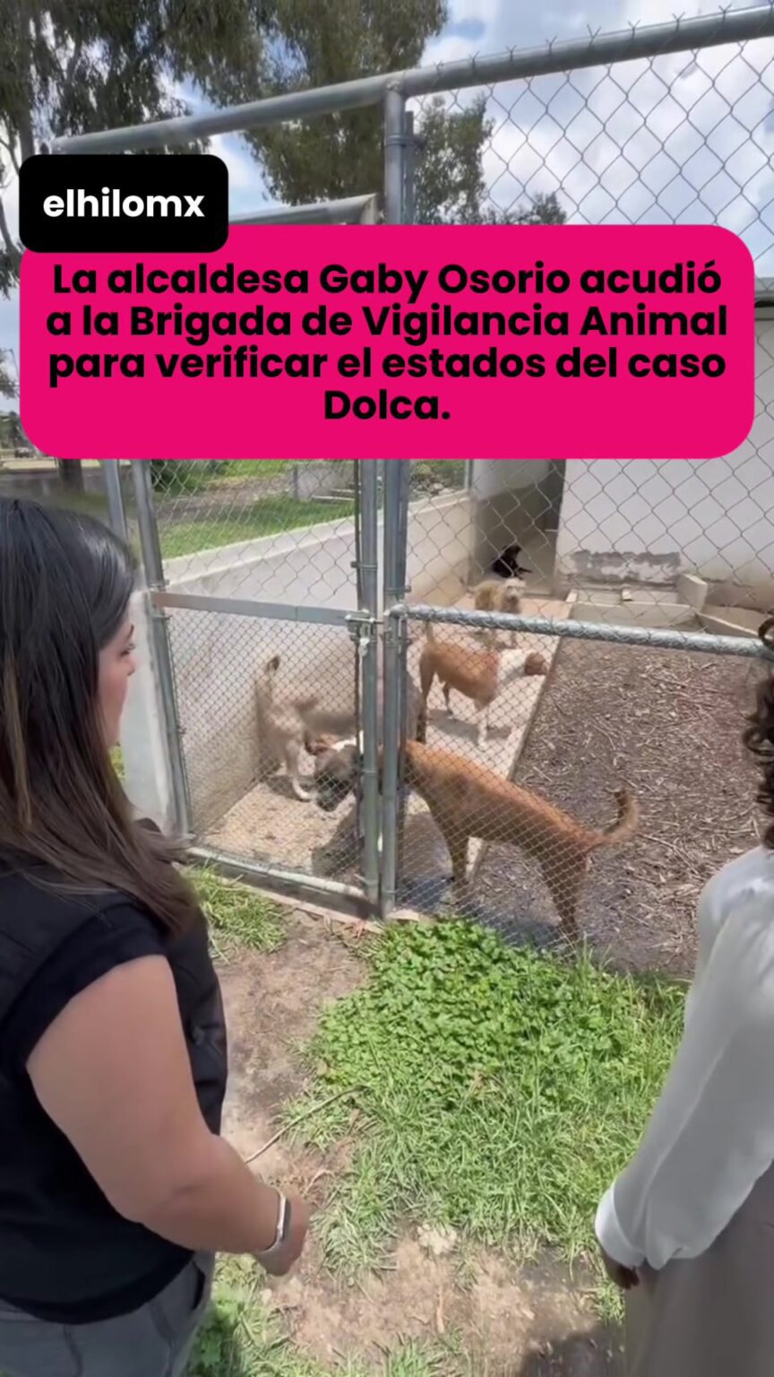@elhilomx Luego del caso Dolca, la alcaldesa #gabyosorio visita la Brigada de Vi… @elhilomx Luego del caso Dolca la alcaldesa gabyosorio visita la.image .jpeg
