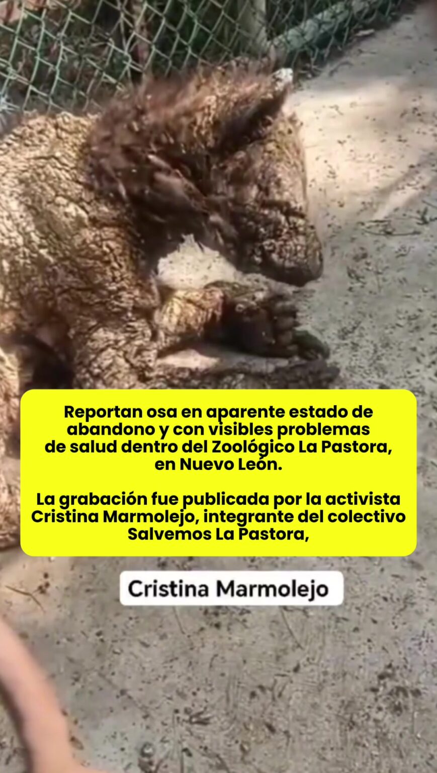 @elhilomx un video difundido este miercoles 24 de septiembre encendio.image .jpeg