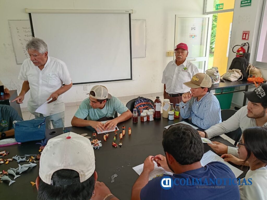 Fiesta del maíz en tecomán