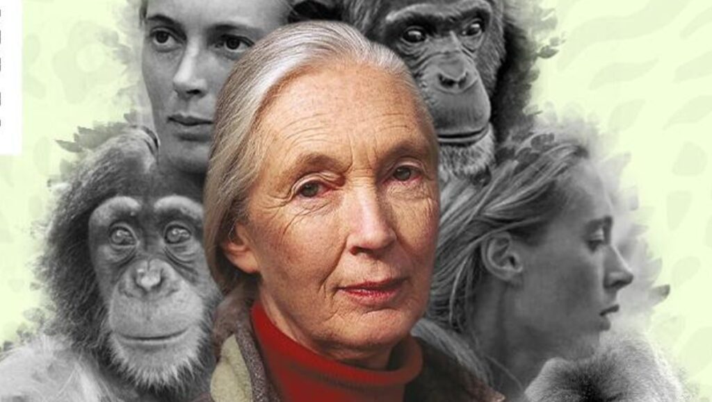 Jane goodall ofrecerá charla en cdmx: lo que necesitas saber