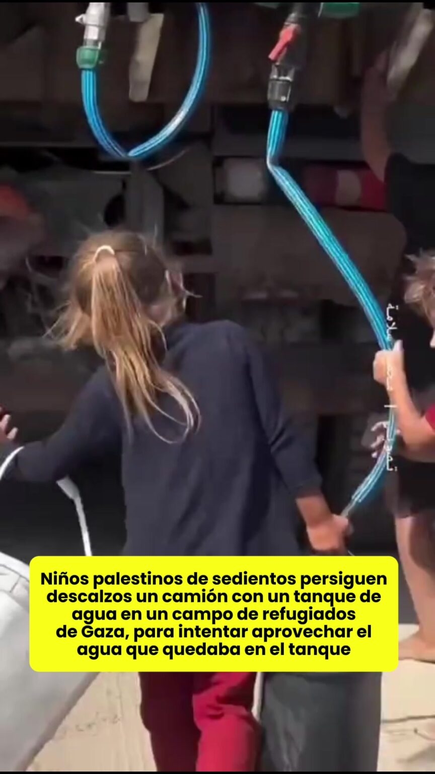 @elhilomx ninos palestinos de sedientos persiguen descalzos un camion con.image .jpeg