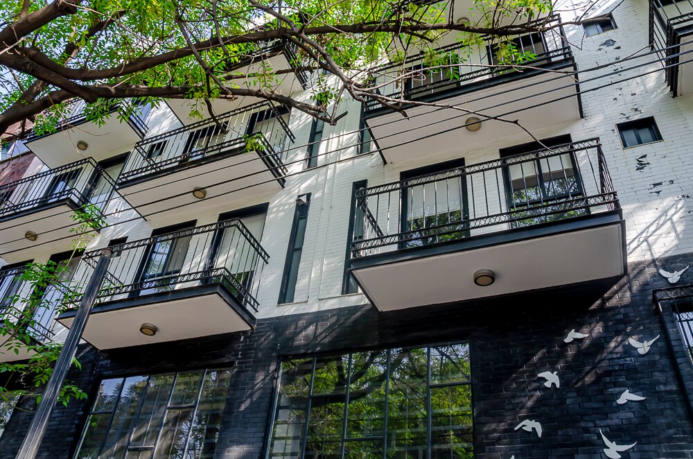 Rumbo al Mundial 2026, CDMX registrará ocupación histórica y recaudación récord por hospedaje: Frente Unidos por la Hospitalidad frente unido por la hospitalidad